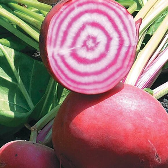 BYROE Beet PHA Serum 10ml Mini Travel Size - Picture 5 of 7